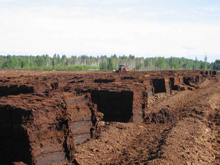 Метод расчета, предложенный Бурмистером